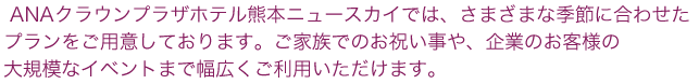 熊本全日空ホテルニュースカイでは、さまざまな季節に合せたプランをご用意しております。 ご家族でのお祝い事や、企業のお客様の大規模なイベントまで 幅広くご利用いただけます。